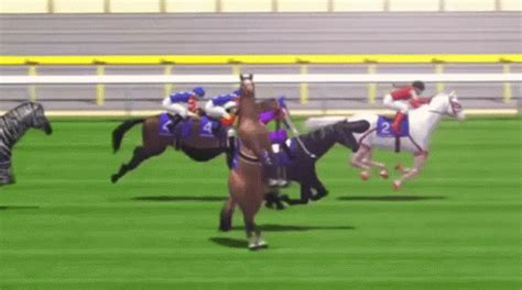 funny horse race gif.